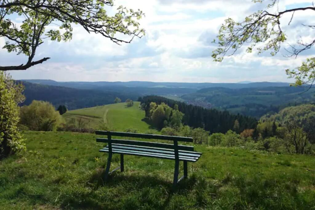 Sauna und Kamin im Ferienhaus Hellaberg II Langenbach  Exterior foto