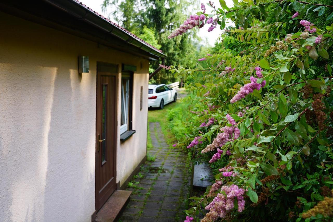 Sauna und Kamin im Ferienhaus Hellaberg II Langenbach  Exterior foto