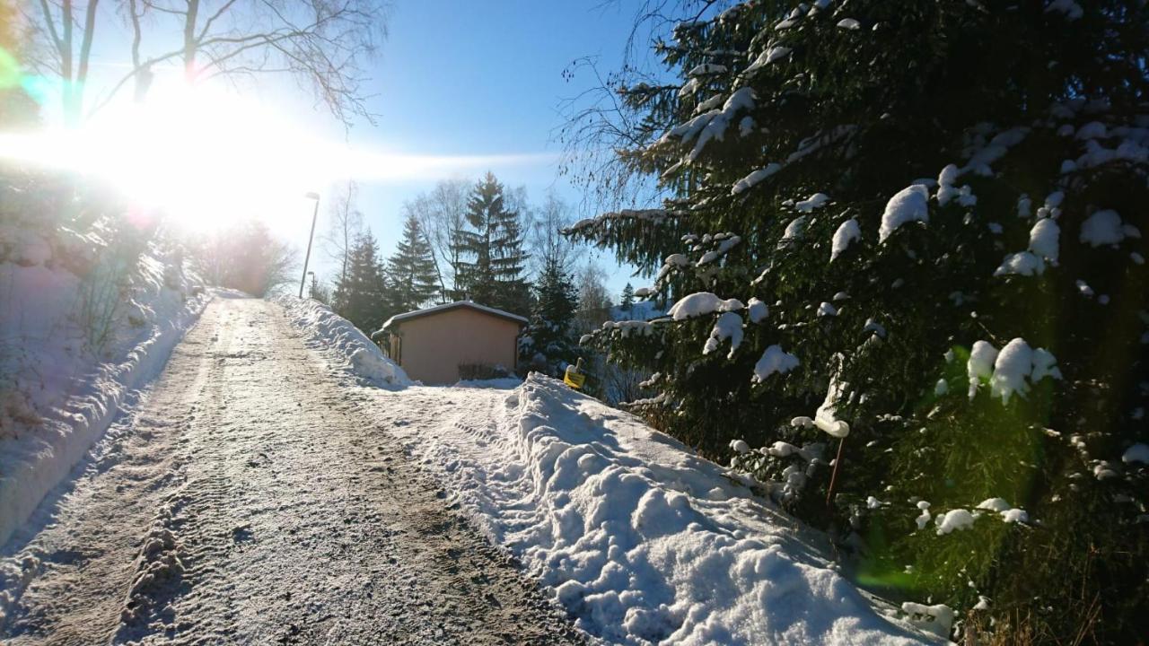 Sauna und Kamin im Ferienhaus Hellaberg II Langenbach  Exterior foto